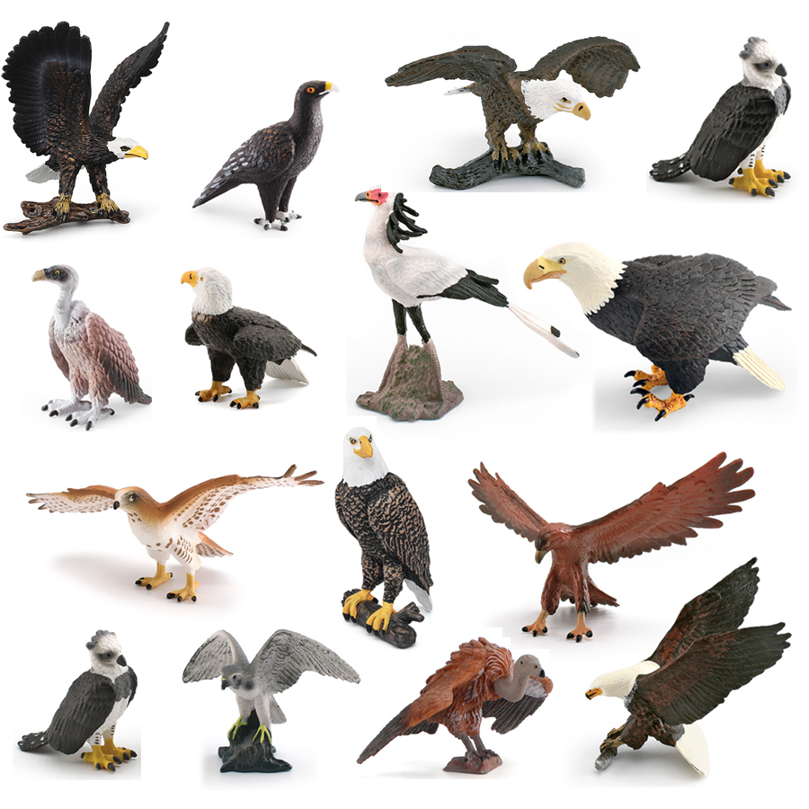 Kids Education Picture - Реалистичные дикие животные, птицы Prey Vulture,