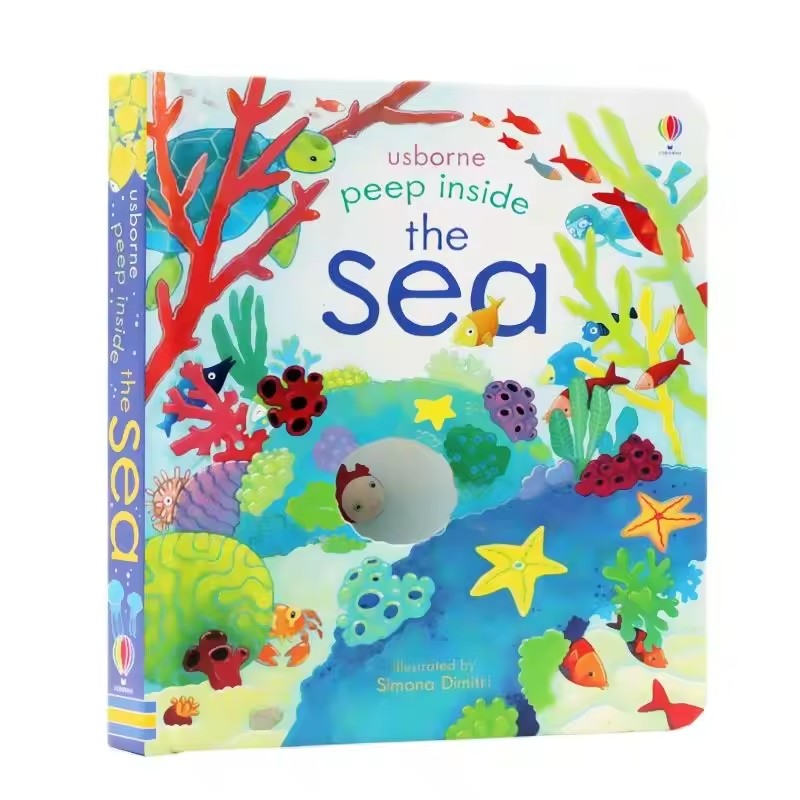 Обучающие английские книги Usb – обзор и цена Kids Education Picture