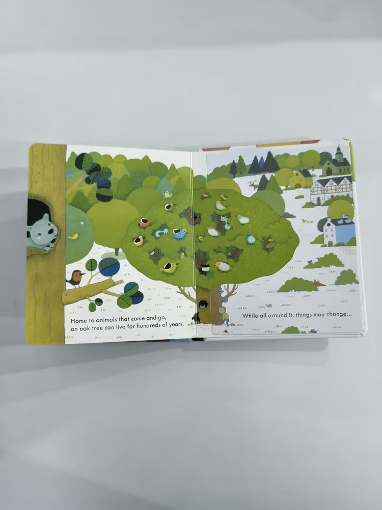 Книга с 3D-окнами Usborne 